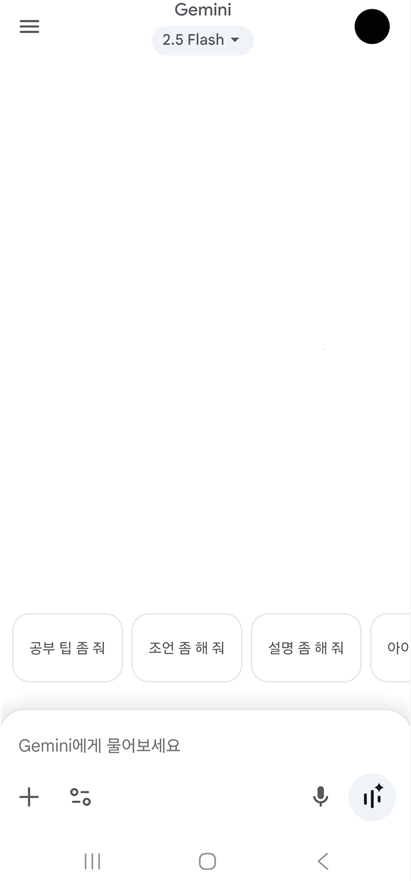 방법 3: 제미나이 앱 첫 실행하기