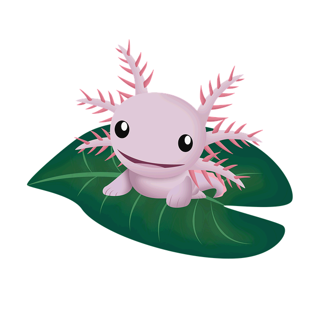 우파루파 키우는 법