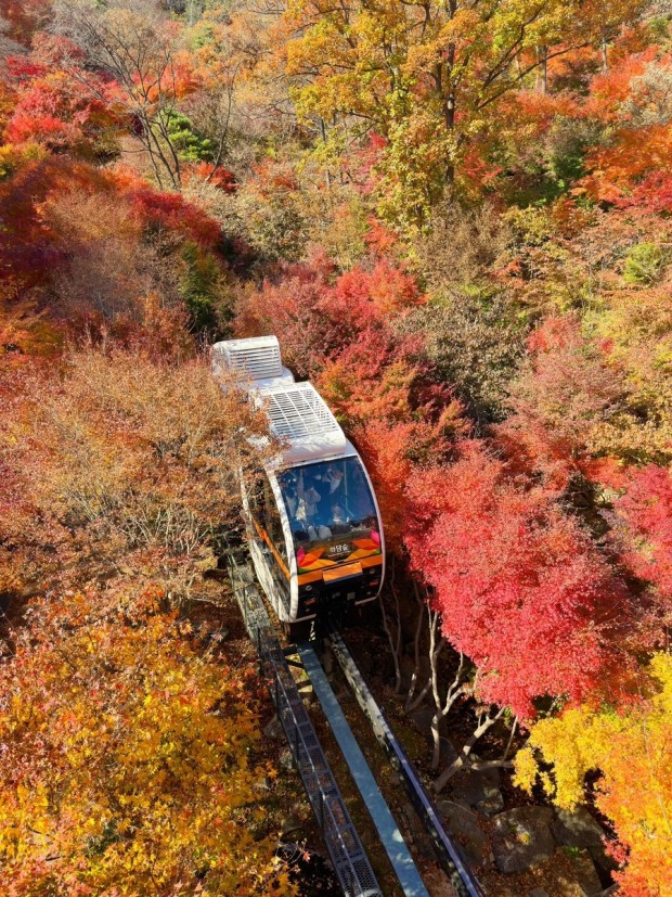 화담숲 단풍축제
