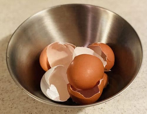 달걀껍질활용하기