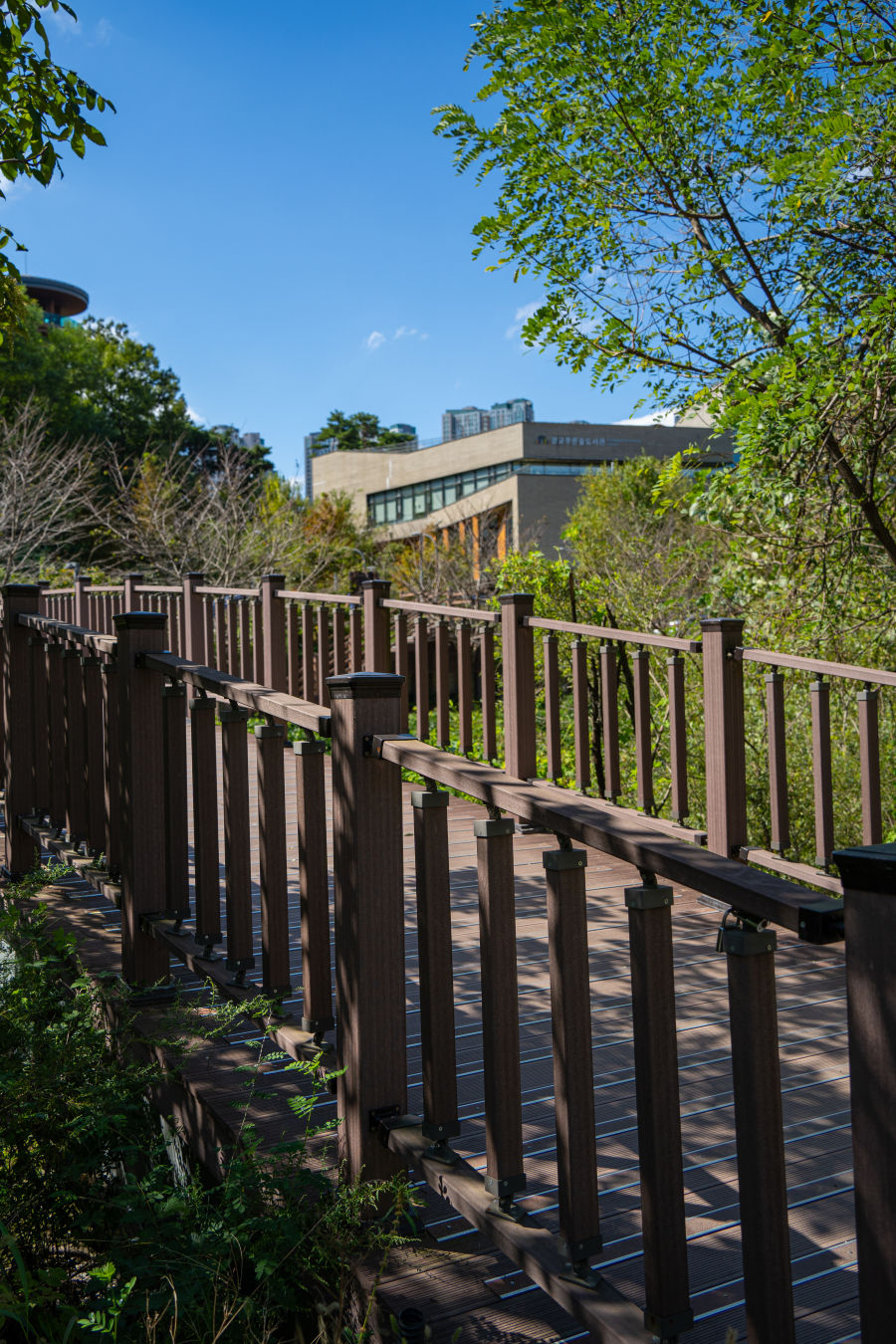 광교 푸른숲 도서관 가는길