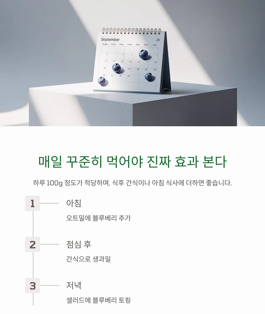 블루베리 효능, 시니어가 꼭 먹어야 하는 이유