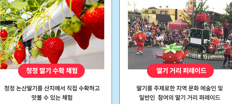 논산딸기축제