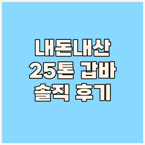 내돈내산 25톤 가질래호로 갑바 후기..