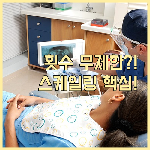 스케일링 보험 적용 연 1회 기준과 ..