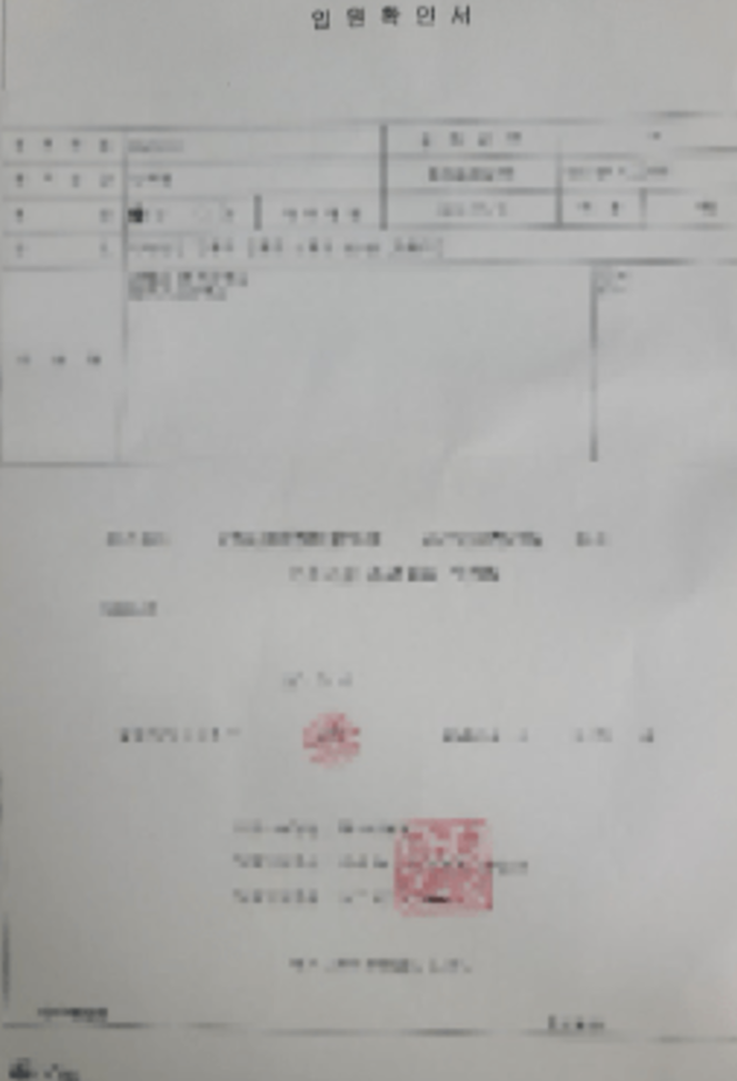 현대해상 간병인 보험 후기 장단점, 유병자도 가입가능? 다른 보험사들과의 차이점 및 공통점