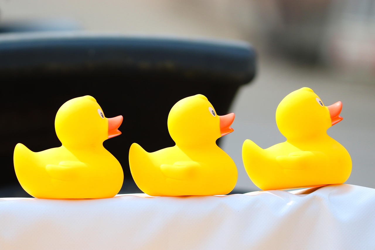 부동산 중개수수료