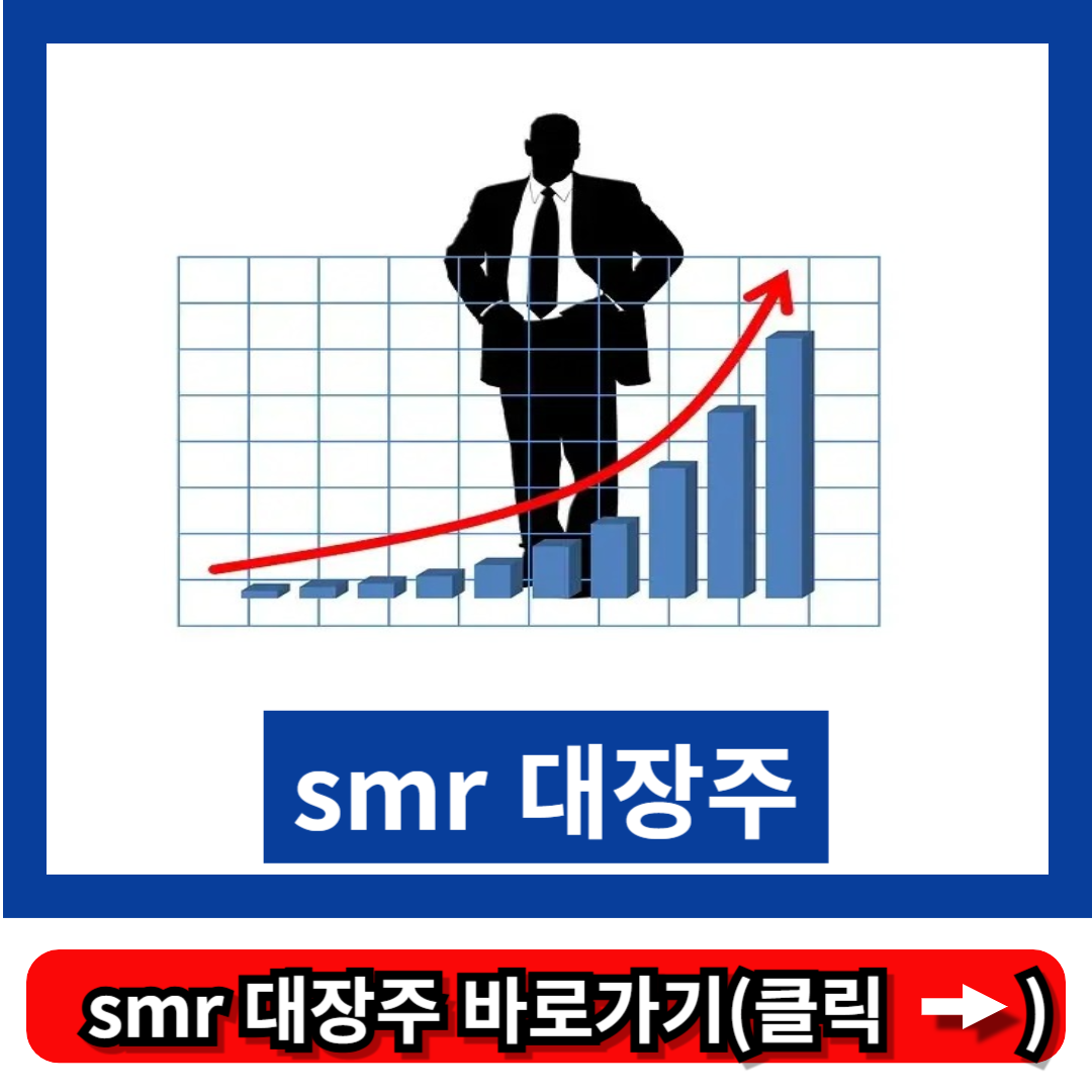 smr 대장주