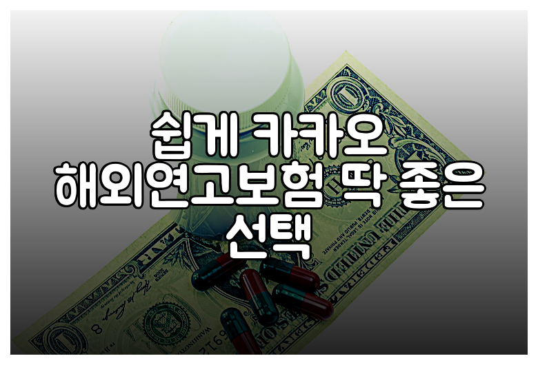 쉽게 카카오 해외연고보험 딱 좋은 선택