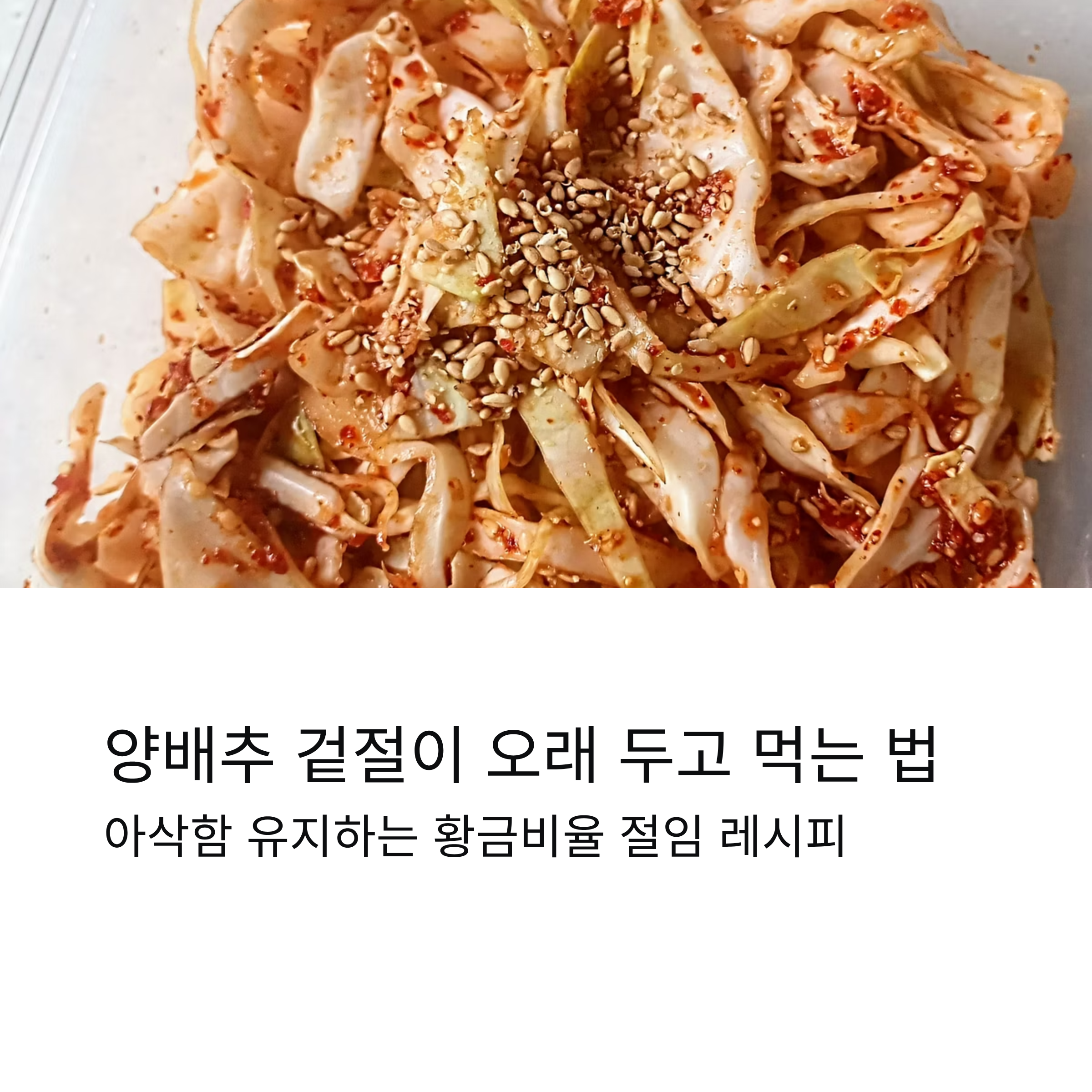 양배추 겉절이 오래 두고 먹는 법! 아삭함 유지하는 황금비율 절임 레시피