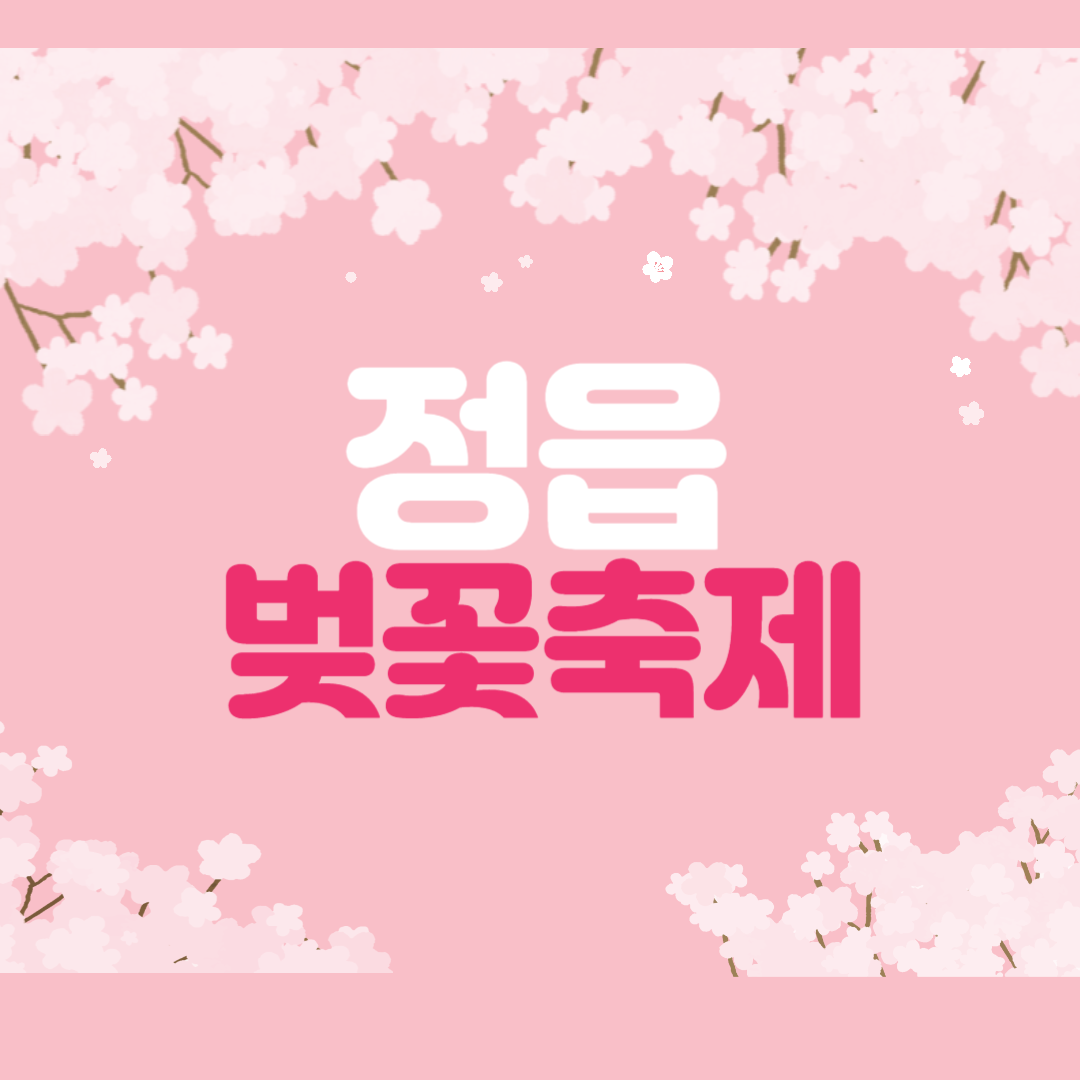 정읍 벚꽃축제 주차장 초대가수 천변 꿀팁 정리