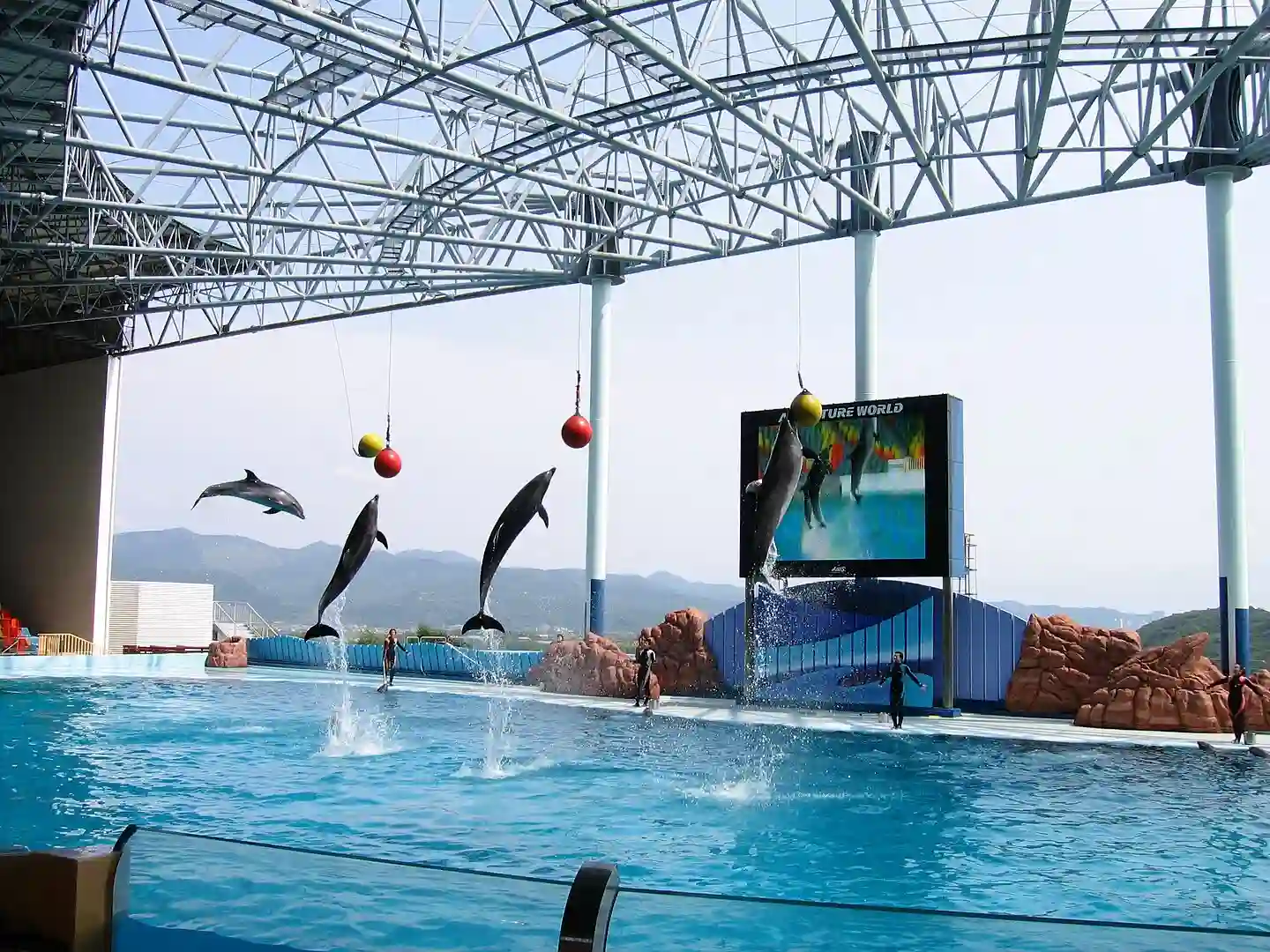 어드벤처 월드의 시설