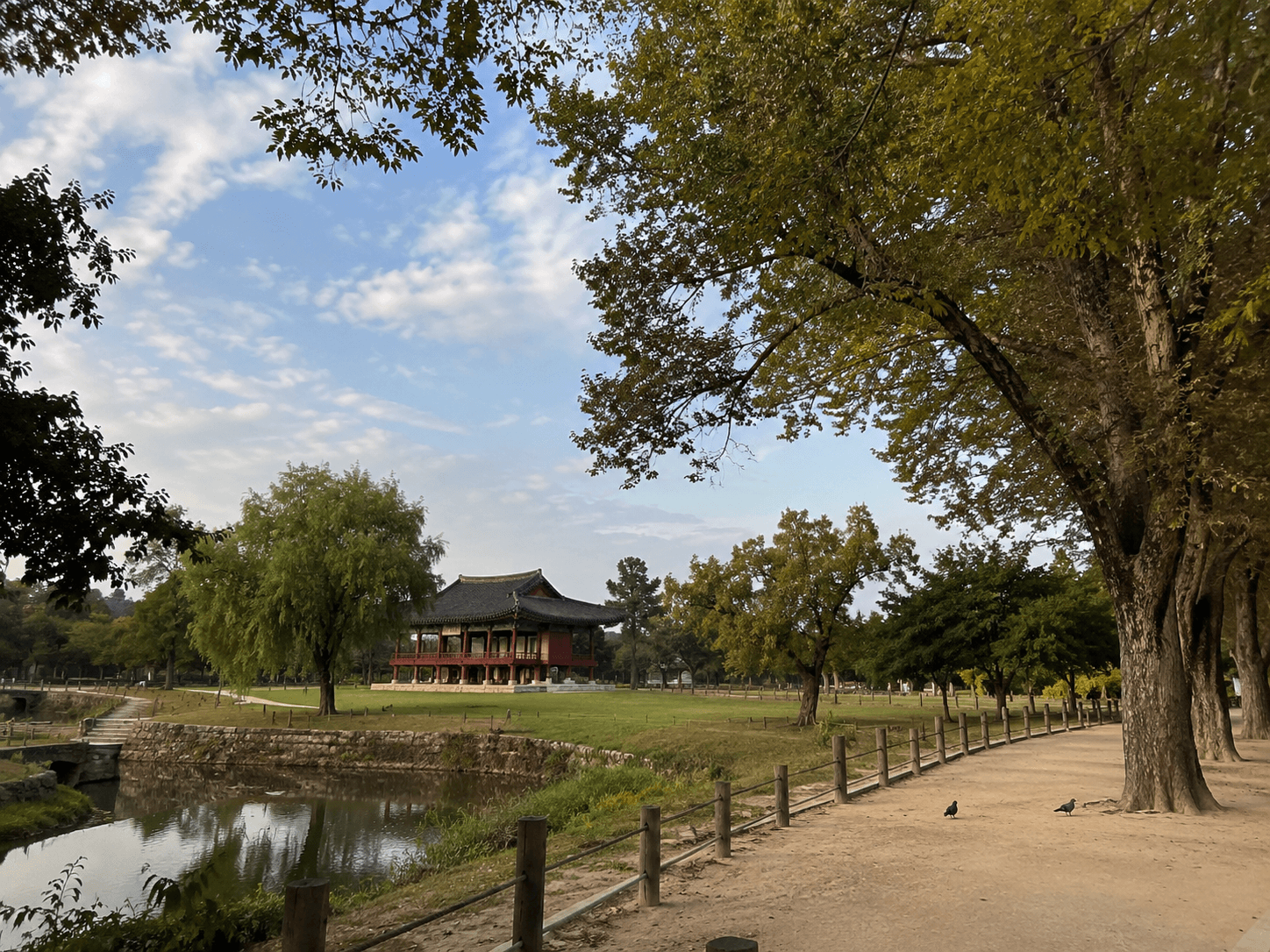 경주 가을여행 사진