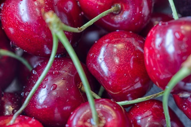 수확 후 세척 유무가 부패율·저장 기간에 미치는 영향 비교