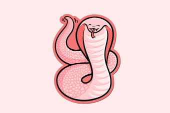 (6)오행(五行)에 따른 다섯 가지 뱀띠, 뱀띠 어린이,뱀띠 아이 이야기