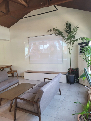 모몽 더 티하우스