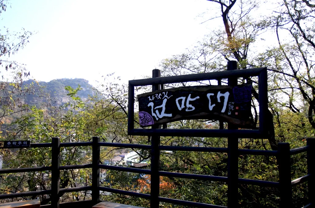 시야가 탁 트이는 무장애 구간의 전망대 데크.