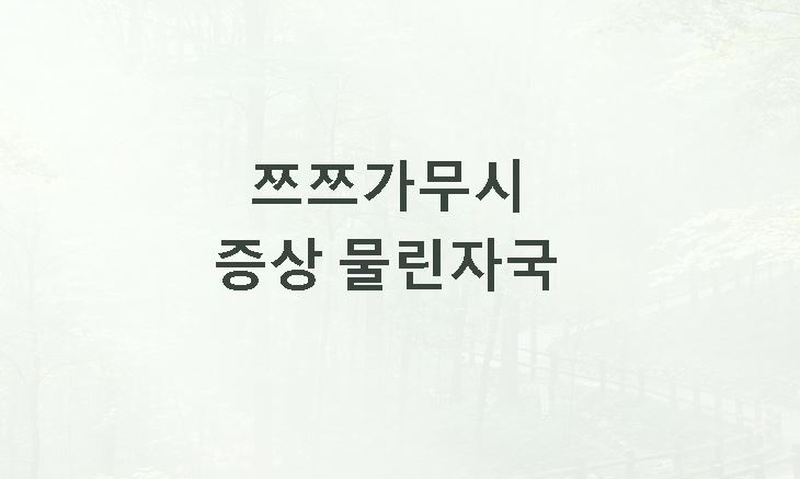 쯔쯔가무시 증상 물린자국