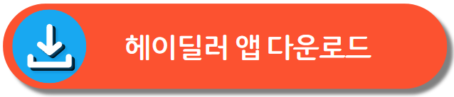 헤이딜러