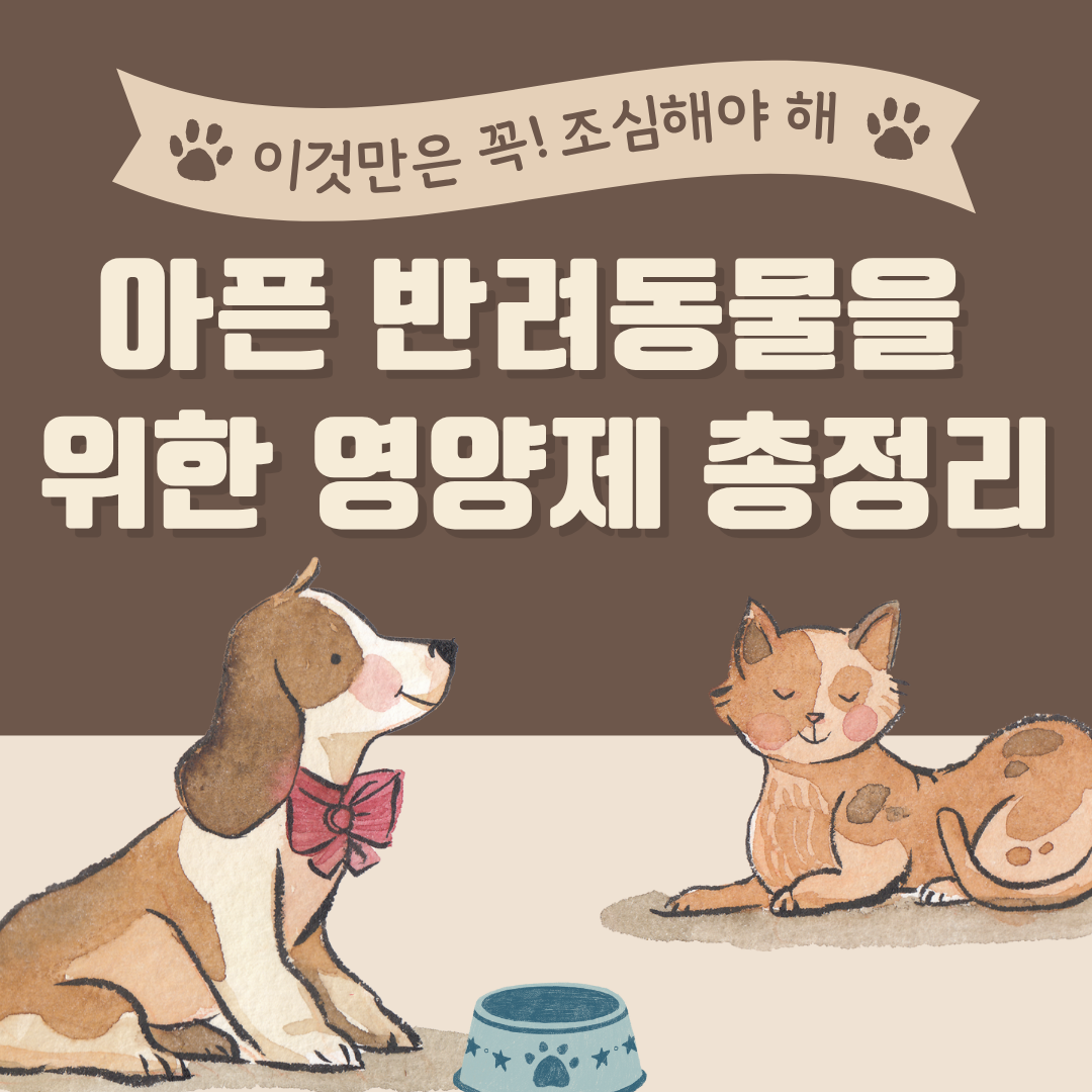 아픈 반려동물 위한 영양제 총정리