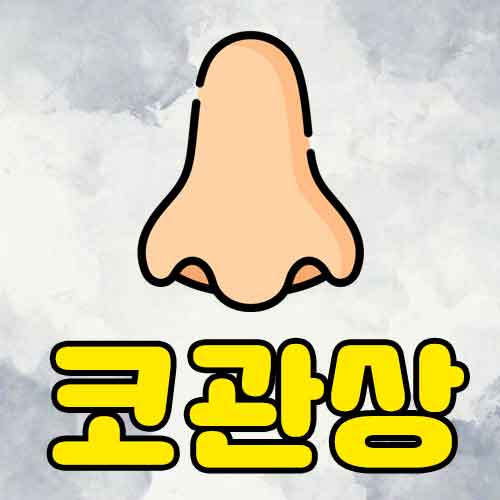 남자 여자 코관상