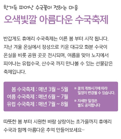 휴애리 수국