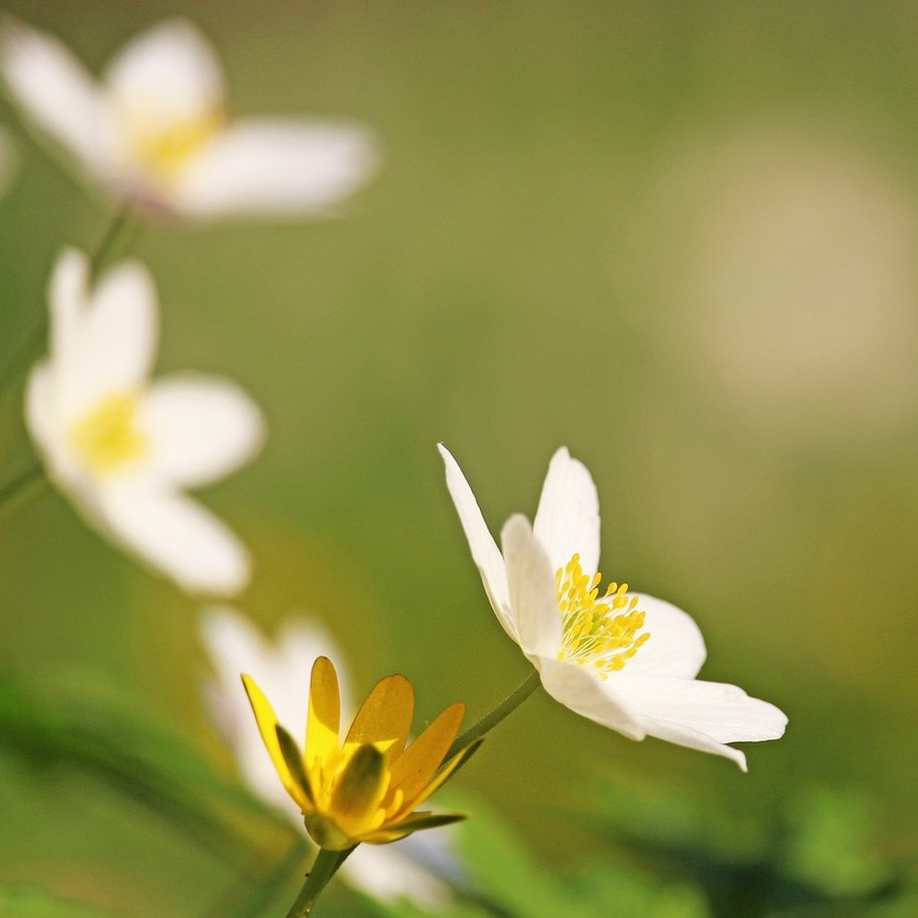 산림복지바우처섬네일