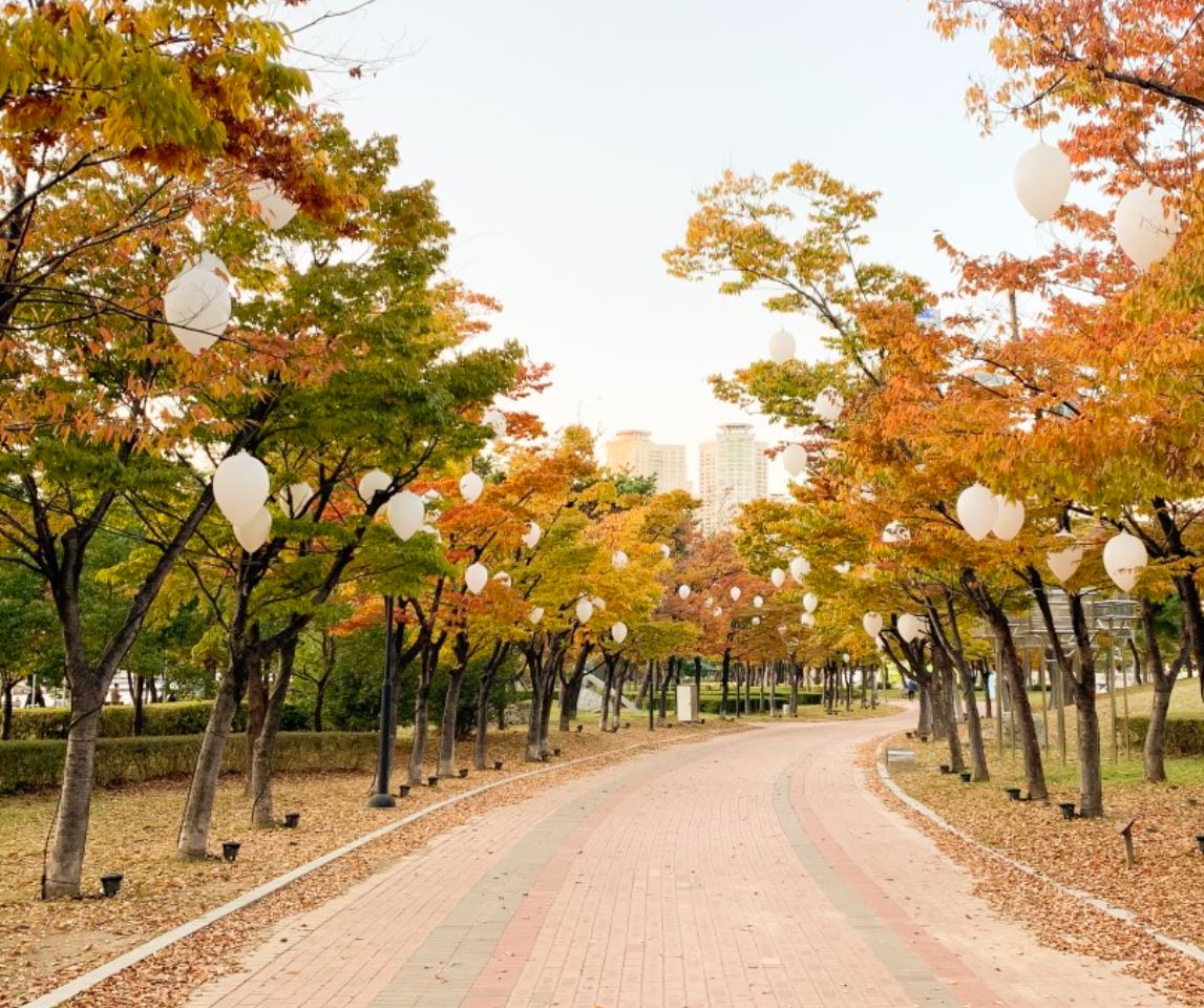 APEC나루공원