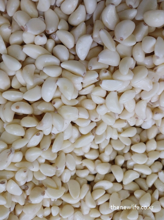 Peeled garlic cloves displayed in bulk, a functional food for belly fat reduction/깐 마늘이 대량으로 진열된 모습, 복부비만에 좋은 향신 식품