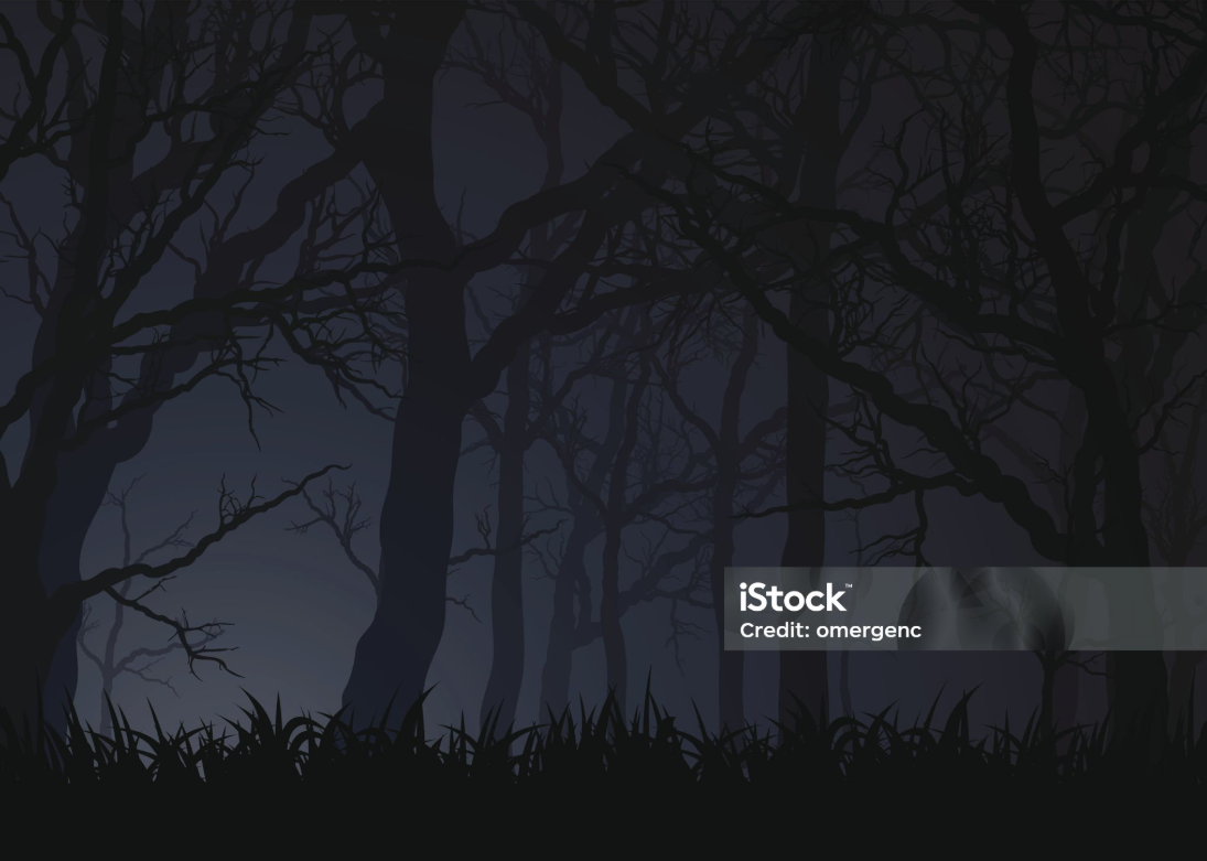 풍수에서 바라본 꿈 해석과 길흉의 의미