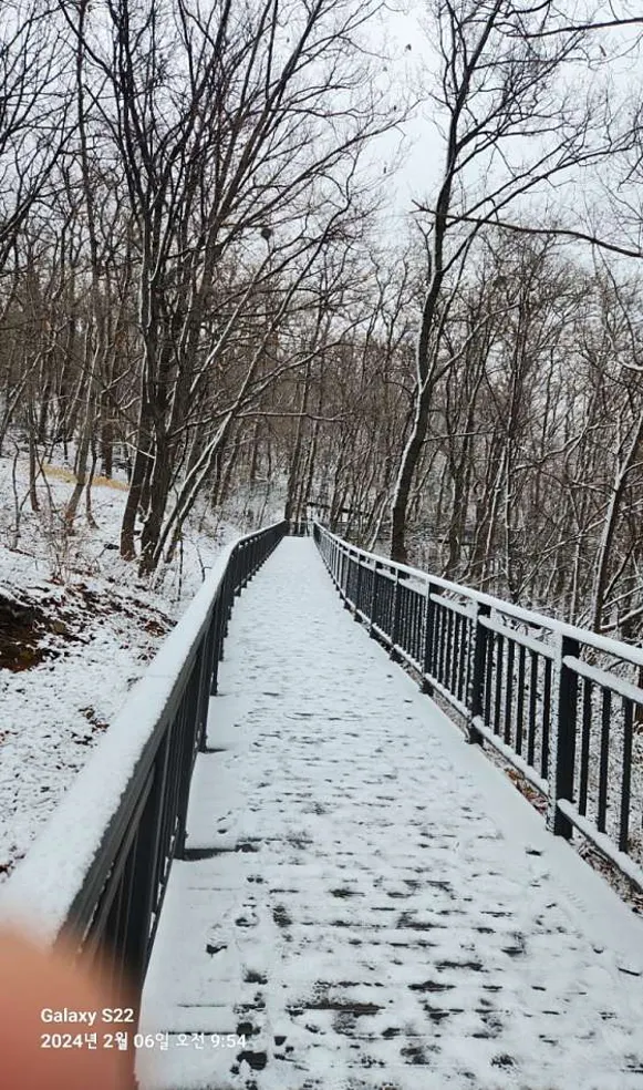 목골산