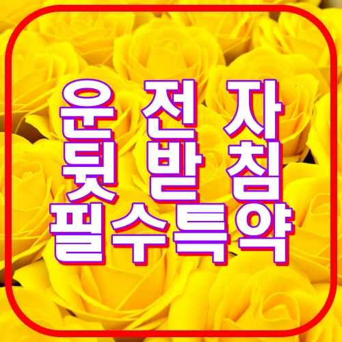 운전자뒷받침 필수특약