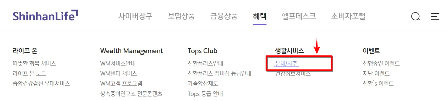 신한생명 홈페이지에서 확인되는 운세/사주 서비스