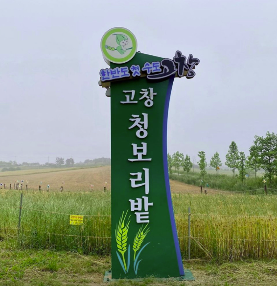 2025 고창 청보리밭 축제 입장료