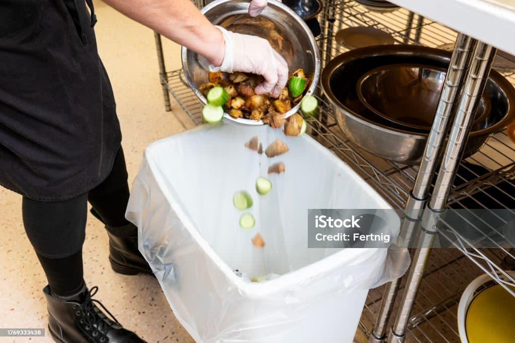 식재료 보관법을 개선하면 버려지는 음식이 줄어든다