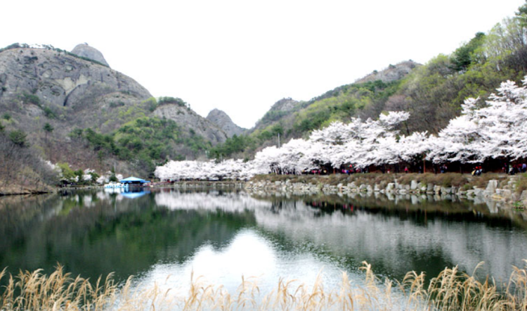 마이산 등산코스