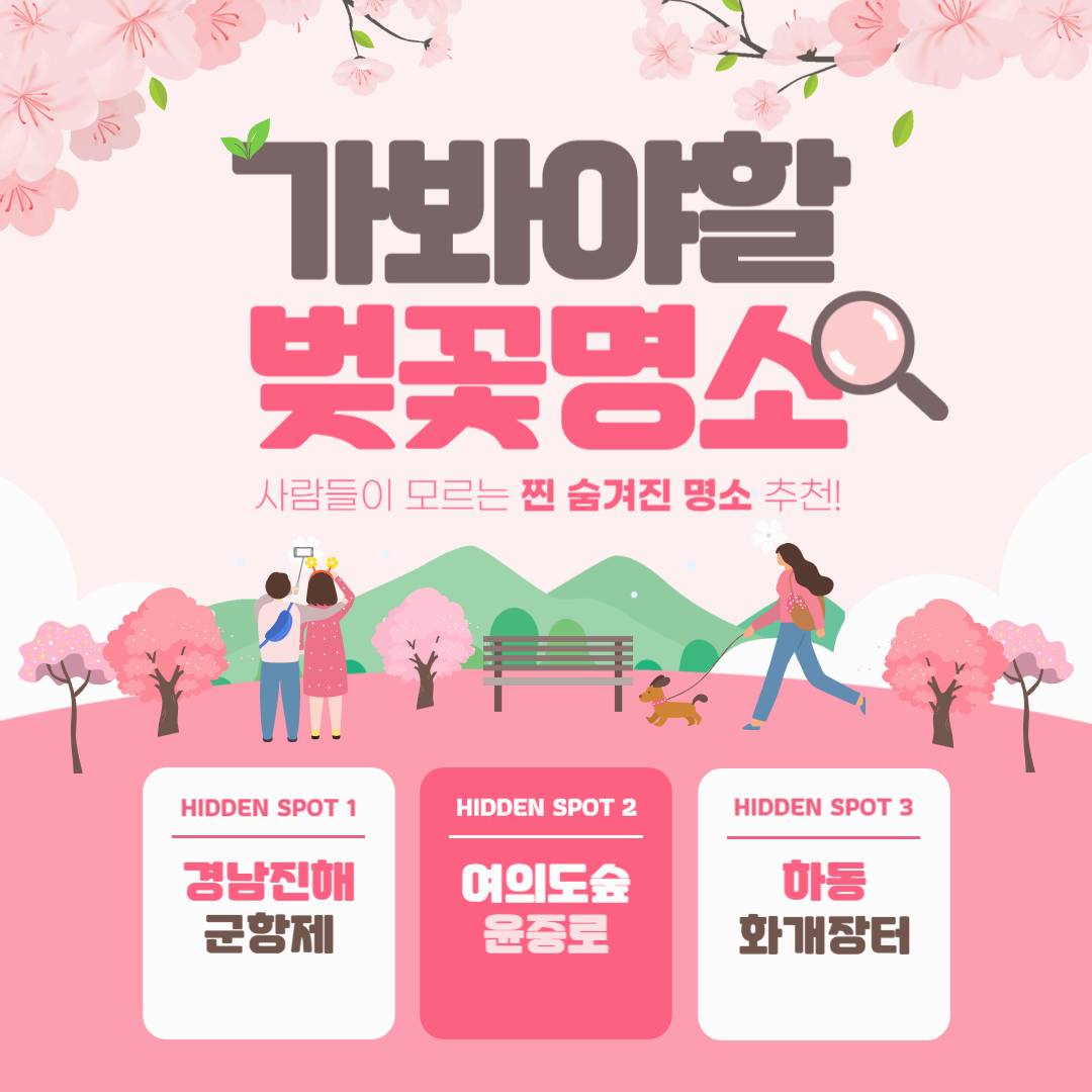 벚꽃 가이드, 2025년 봄을 더 특별하게 즐기는 법 TOP5