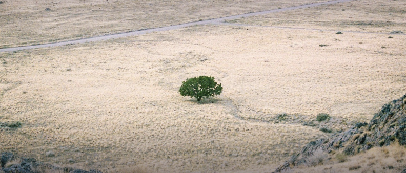 환절기 피부 장벽 손상, 왜 심해질까? — 보습제·항산화 케어의 과학적 원리 설명사진