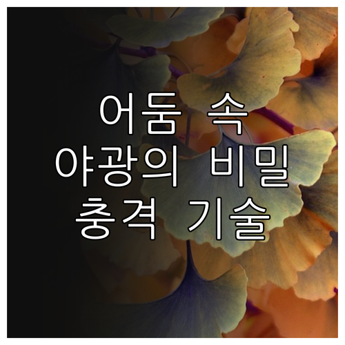 특수 목적 시계의 야광 인덱스 기능과..