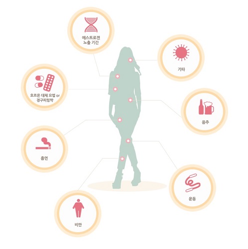 여성 실루엣을 중심으로 유방암 위험 요인을 나타낸 인포그래픽. 에스트로겐 노출 기간, 기타 요인, 음주, 운동 부족, 비만, 흡연, 호르몬 대체요법이나 경구피임약 등 유방암 발생에 영향을 미치는 다양한 위험 인자들이 시각적으로 표현되어 있다. <출처: 한국유방건강재단>