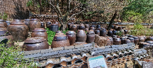 화담숲