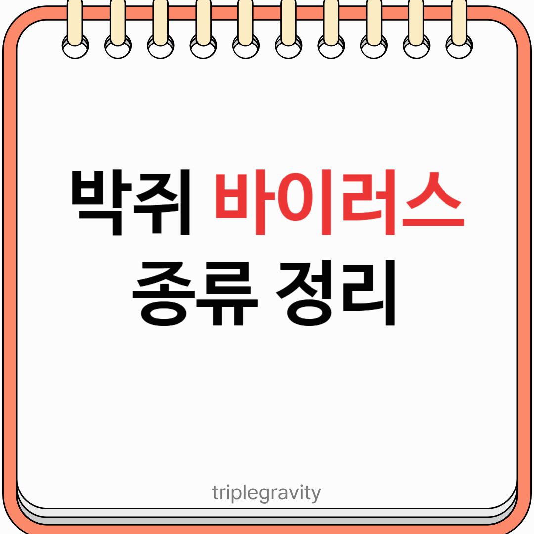 박쥐 바이러스 종류와 특징 정리