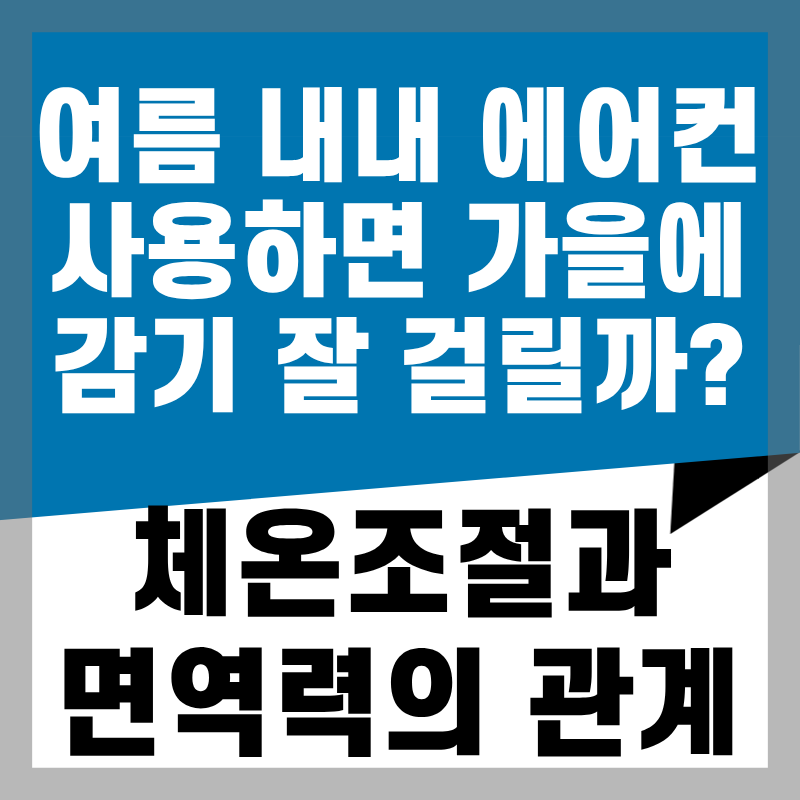여름 내내 에어컨 사용하면 가을에 감기 잘 걸릴까? 체온조절과 면역력의 관계