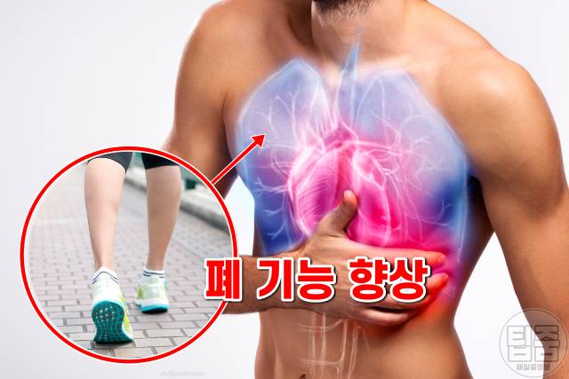 하루 30분 걷기로 피할 수 있는 암 13,하루30분걷기 효과 폐암