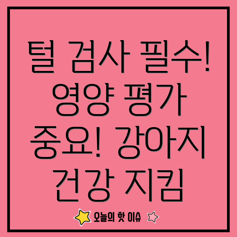 털 검사와 영양 평가