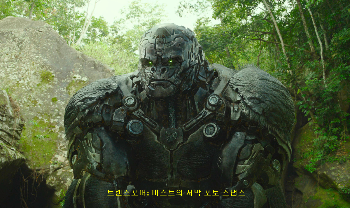 트랜스포머: 비스트의 서막 포토 스냅스