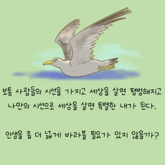 갈매기의 꿈 줄거리 자기초월 우화 리처드 바크_9