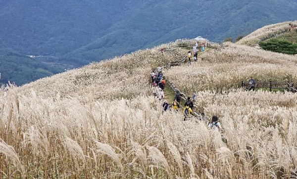 강원도-정선-민둥산