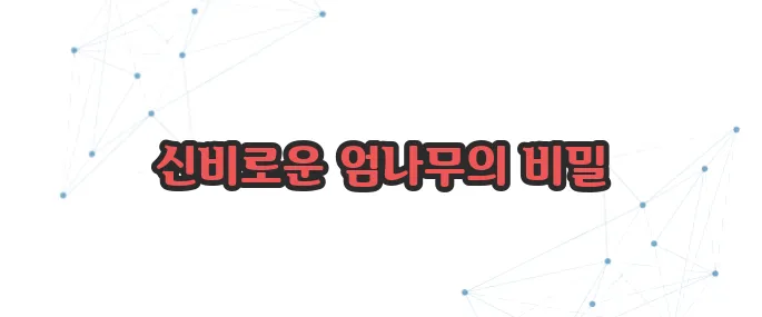 엄나무 효능 이보다 자세히 설명할순없다