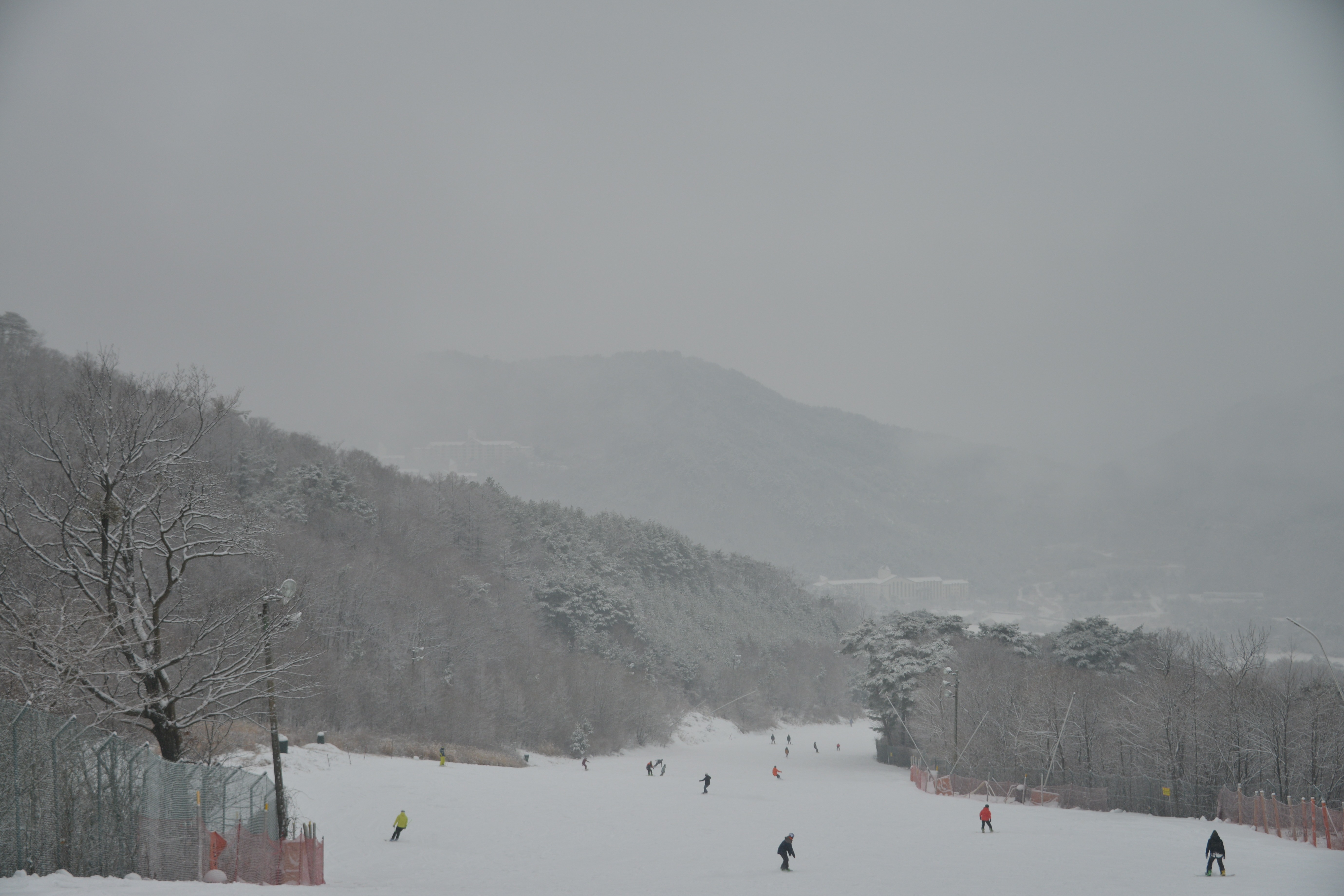 2025/2026 무주덕유산리조트 스키장 시즌권 렌탈 할인 완벽 가이드